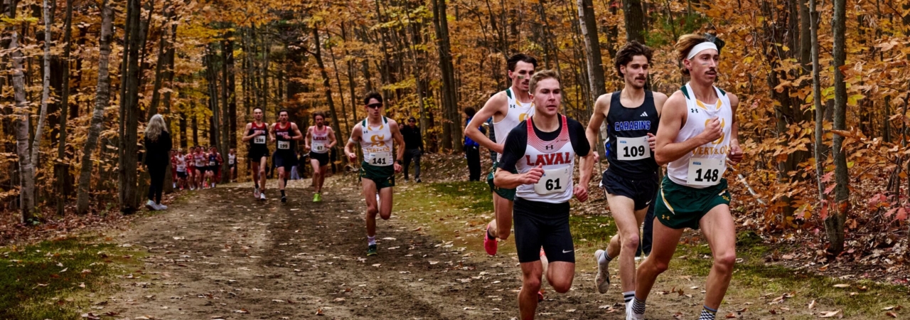 Laviolette frôle le sommet