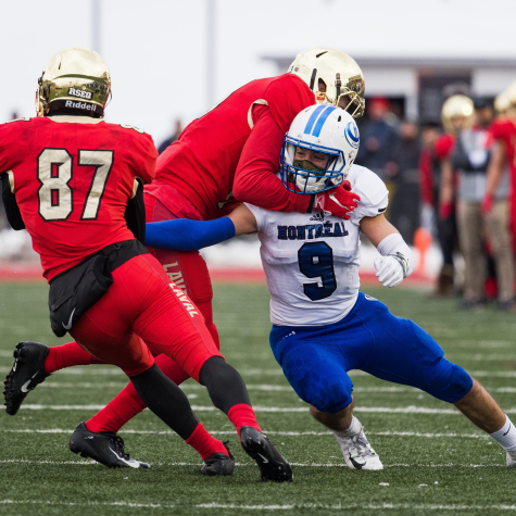 Les Carabins muselés par le Rouge et Or