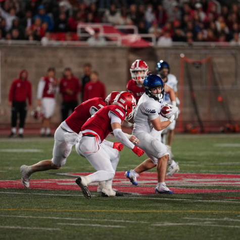 Les Carabins trébuchent face aux Redbirds