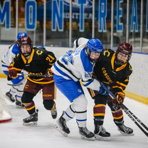 Les Stingers l'emportent malgré une belle prestation des Carabins