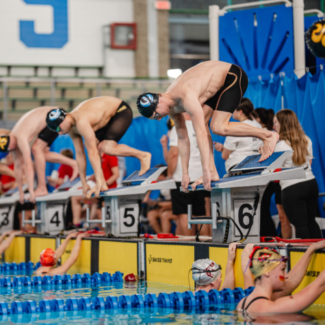 Natation : Camp de sélection 2025