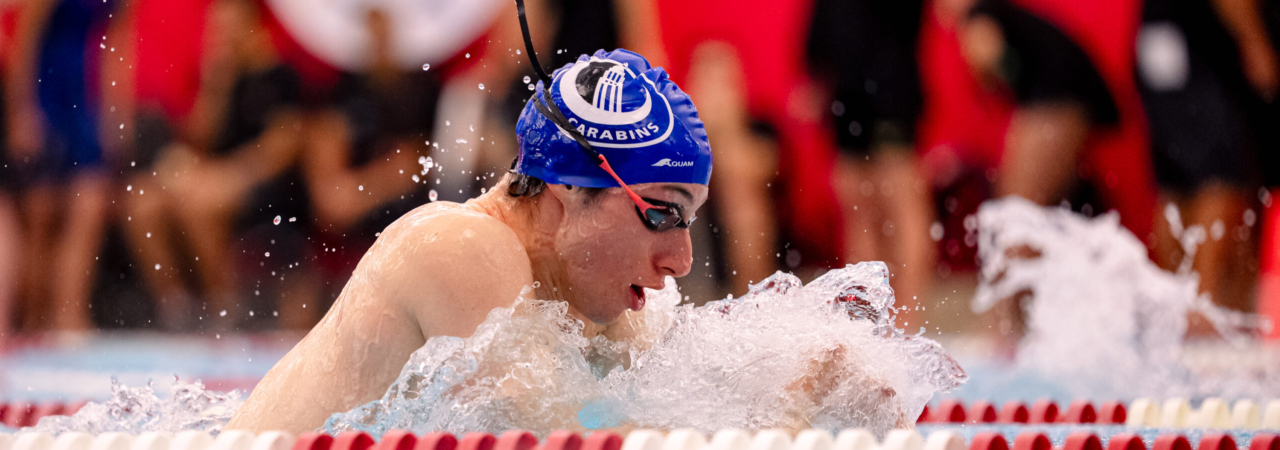 Les Bleus s'illustrent