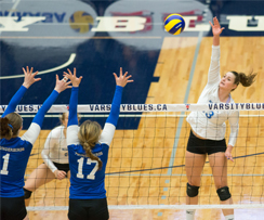Les Carabins remportent le bronze, la 3e médaille de leur histoire