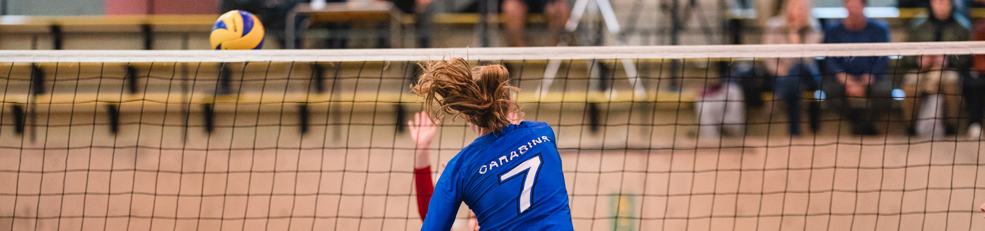 LE GUIDE DU PARTISAN &#8211; VOLLEYBALL