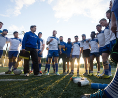 Quatre Carabins étoilés