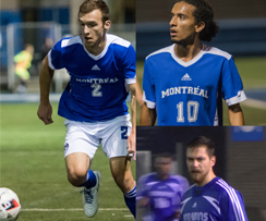 Trois Carabins étoilés