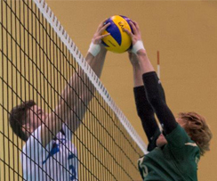 Les Carabins convaincants