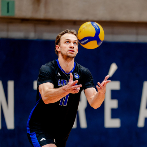 Les Bleus domptent les Tigres