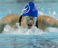 Les Carabins tiennent le coup