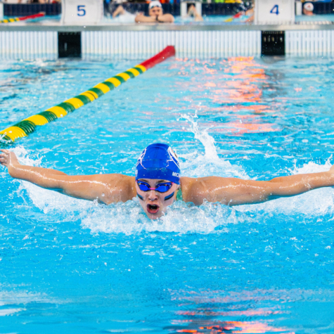Une récolte de médailles impressionnantes