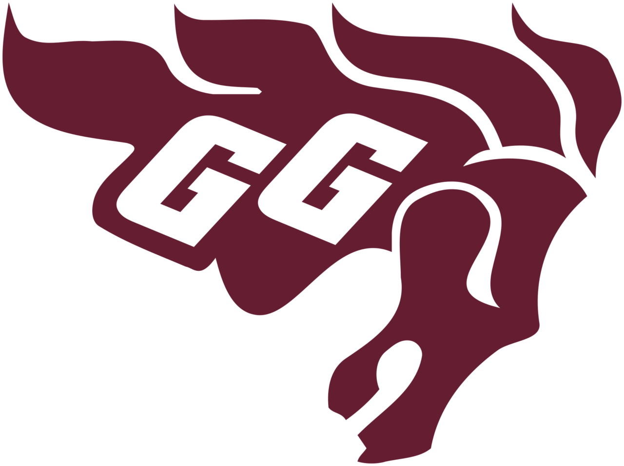 Gee-Gees d'Ottawa