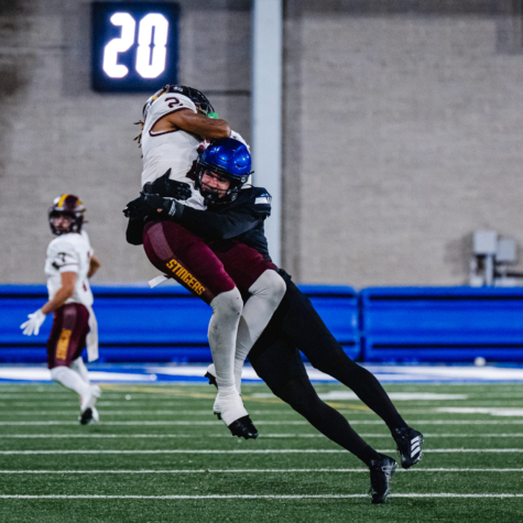 Les Carabins arrachent la victoire aux Stingers