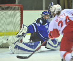 Les Carabins s'inclinent face aux Martlets