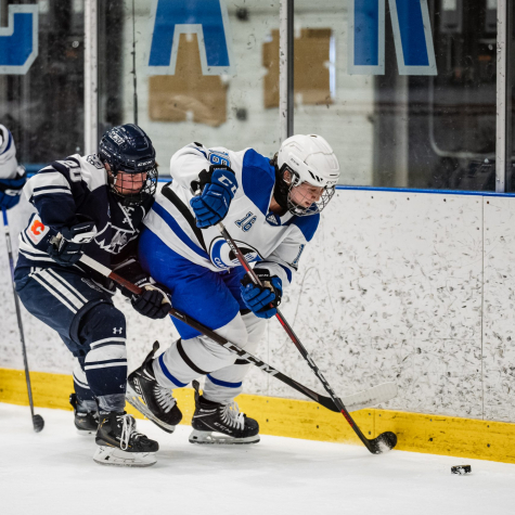 Les Carabins s'inclinent en demi-finale nationale