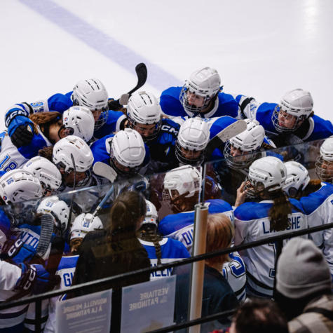 Les Carabins livrent une chaude lutte aux Stingers