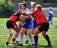 Les Carabins s'inclinent face aux Stingers