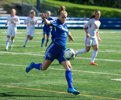 Les Carabins font match nul contre les Stingers