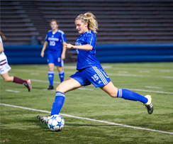 Quatre Carabins étoilés