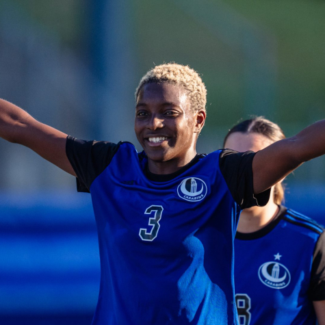 Les Carabins s'éclatent