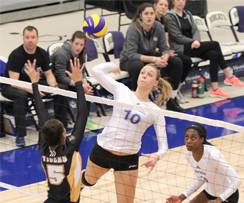 Les Carabins concluent leur saison au 5e rang national