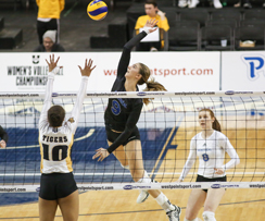 Les Carabins en demi-finale