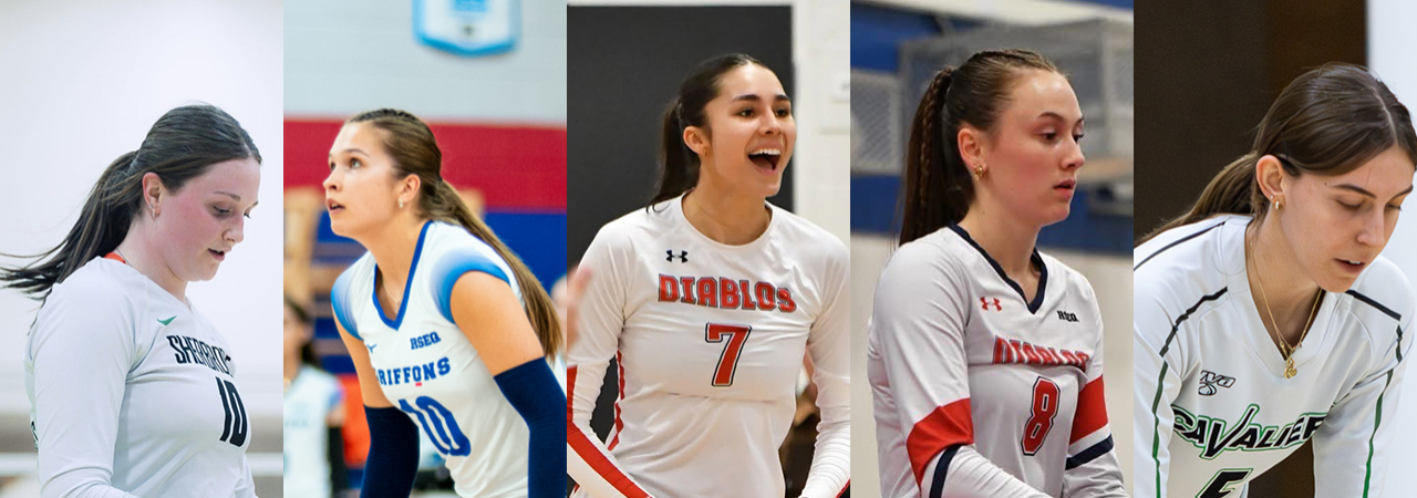 Volleyball féminin : les nouveaux visages de 2027
